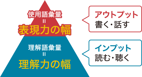 アウトプット 使用語彙量＝表現力の幅・インプット 理解語彙量＝理解力の幅