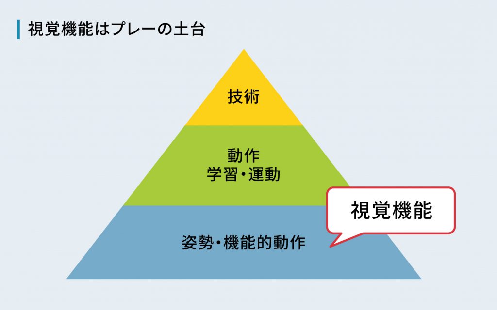 視覚機能は「機能的動作」のひとつで、プレーの土台となります